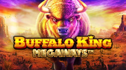 Buffalo Kind Megaways on saadaval X3000 kasiinos.
